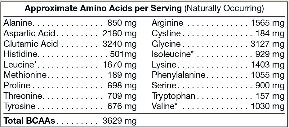 Pure Plant Protein - Chocolate